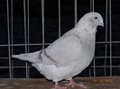 DSC01660