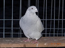 DSC01665