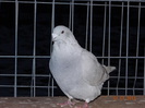 DSC01664