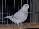 DSC01662