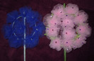 DSCN8036