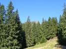 DSCF2051