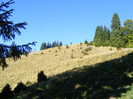DSCF2056