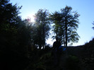 DSCF2063