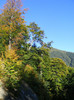 DSCF2064