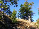 DSCF2066