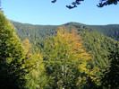 DSCF2080