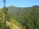 DSCF2081