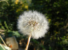 DSCF2084