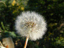 DSCF2085