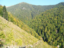 DSCF2091