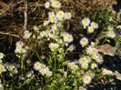 DSCF2092