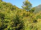 DSCF2105