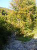 DSCF2107