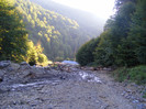 DSCF2117