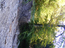 DSCF2118