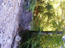 DSCF2119