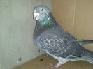 IMG982