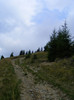 DSCF2292