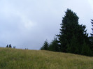 DSCF2294