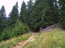 DSCF2297