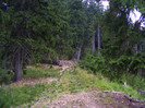 DSCF2305