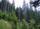 DSCF2309