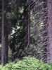 DSCF2313