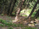 DSCF2314