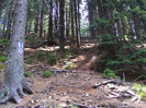 DSCF2316