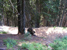 DSCF2317