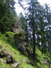 DSCF2324