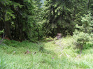 DSCF2328