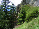 DSCF2347