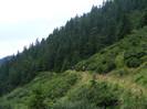 DSCF2351