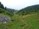 DSCF2353
