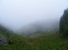 DSCF2355