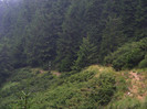 DSCF2357