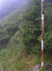 DSCF2359