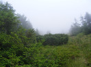 DSCF2361