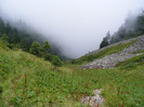 DSCF2364