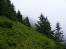 DSCF2366