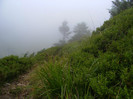 DSCF2371