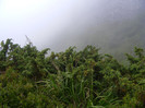 DSCF2370