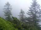 DSCF2375