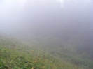 DSCF2387