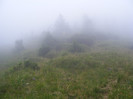 DSCF2388
