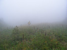 DSCF2389
