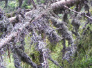 DSCF2401