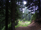 DSCF2421